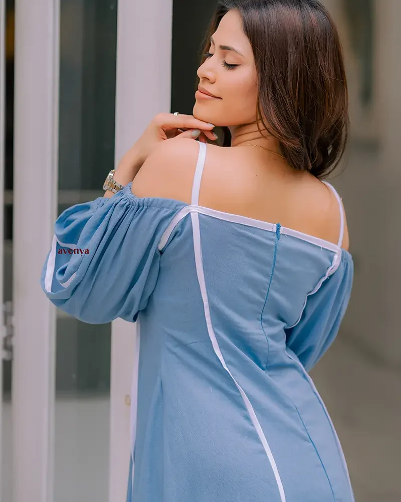 The-Cornflower-Panel-Dress